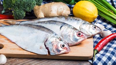 Cara Menyimpan Ikan di Kulkas agar Tidak Bau, Ikuti 7 Langkah Ini