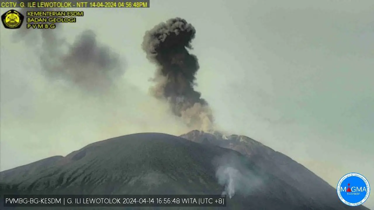 Gunung Ili Lewotolok Meletus