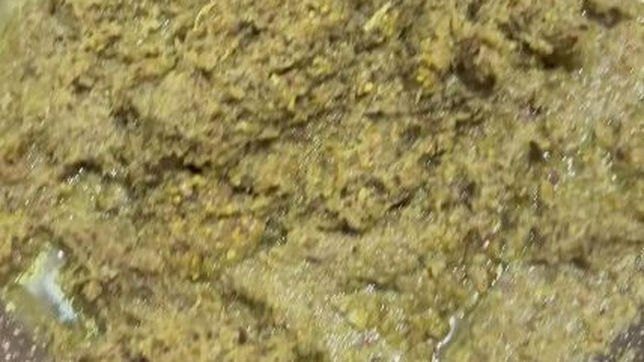 Panaskan Bumbu Lengkuas