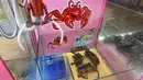 Kepiting terlihat di dalam permainan mesin capit di sebuah restoran makanan laut di Singapura, 23 Oktober 2019. Mesin capit yang dipajang restoran tersebut mendorong pengunjung untuk menangkap sendiri hewan laut yang hendak disantapnya. (Roslan RAHMAN / AFP)