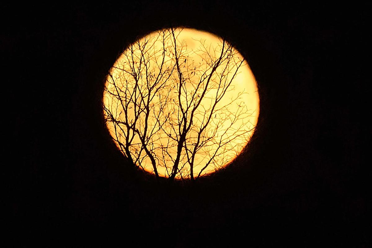 bulan
