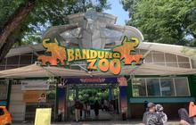 APECSI Sayangkan Pengelolaan Bandung Zoo Diserahkan ke KBS dan Ragunan, Ribuan Satwa Terancam?
