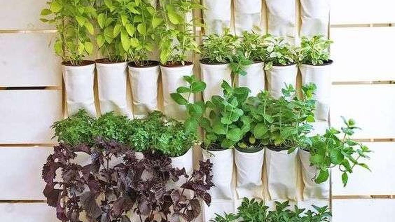 Desain Vertical Garden Minimalis