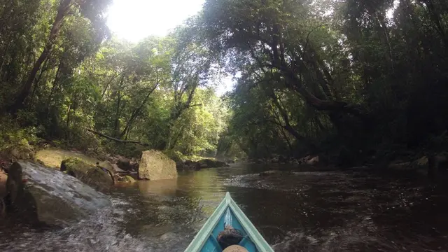 Bukit Batikap, Habitat Orangutan di Perbatasan Kalimantan. (Dok: Gunung Bagging/https://www.gunungbagging.com/batikap/)