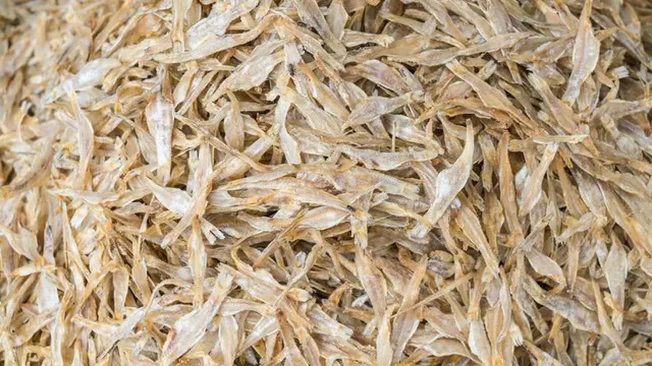 Rahasia Ikan Teri Awet Berbulan-bulan di Kulkas Tanpa Freezer