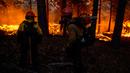 Petugas pemadam kebakaran dengan Little Tujunga Hotshots memantau serangan balik saat memerangi Mosquito Fire dekat Michigan Bluff di Placer County, California, Amerika Serikat, 7 September 2022. (Stephen Lam/San Francisco Chronicle via AP)