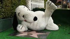 Snoopy berpose  di Hollywood Walk of Fame pada upacara penghargaan di California, Senin (2/11). Film terbaru  berjudul  The Peanuts Movie  dirilis pada 6 November di AS untuk merayakan hari jadi Snoopy dan Charlie Brown. (AFP PHOTO/Robyn Beck)