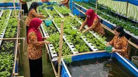 12 Inspirasi Program Pertanian Lestari untuk Ibu-ibu PKK, Wujudkan Ketahanan Pangan