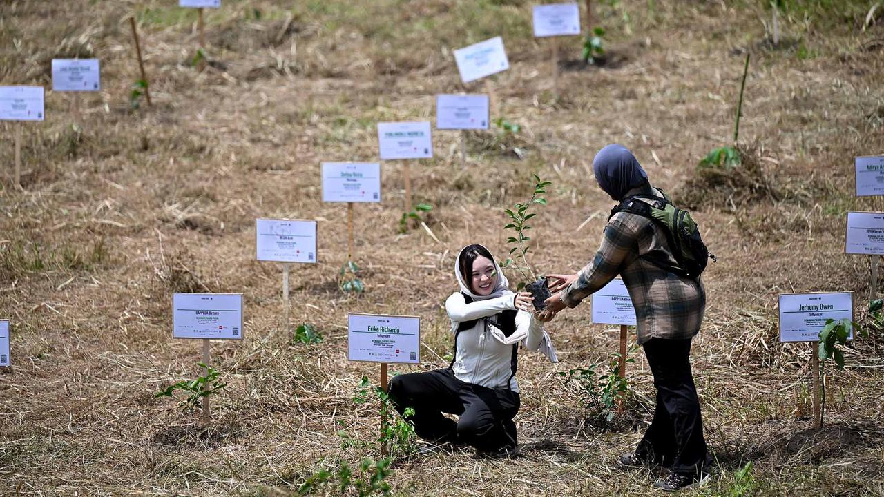 Ratusan Ribu Pohon Ditanam di DAS Peusangan Aceh