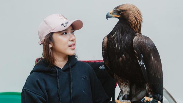 Tiara Andini Bareng Binatang Peliharaan Alshad Ahmad, Tak Takut Mesti Buas