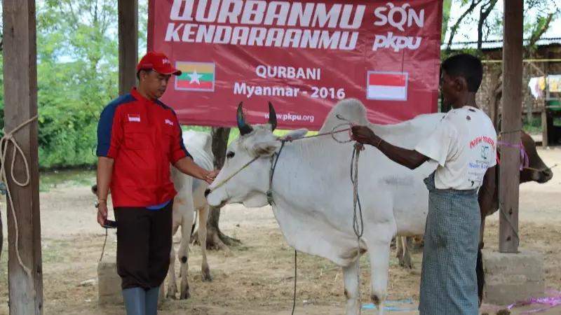 Yuk, Bantu Pemerataan Penyaluran Daging Kurban di QurbanKitaBisa