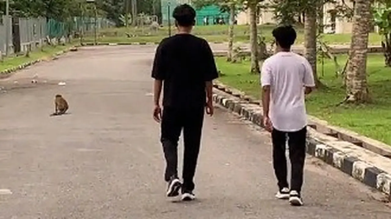 Takut Dikejar Monyet, Dua Orang Ini Malah Mematung Seperti Permainan Squid Game
