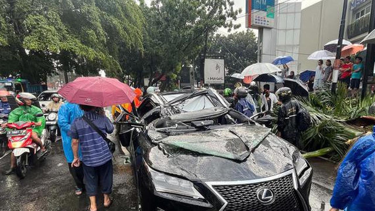 Kronologi dan Profil Harry Danardojo, Pengemudi Lexus Meninggal Usai Tertimpa Pohon Tumbang