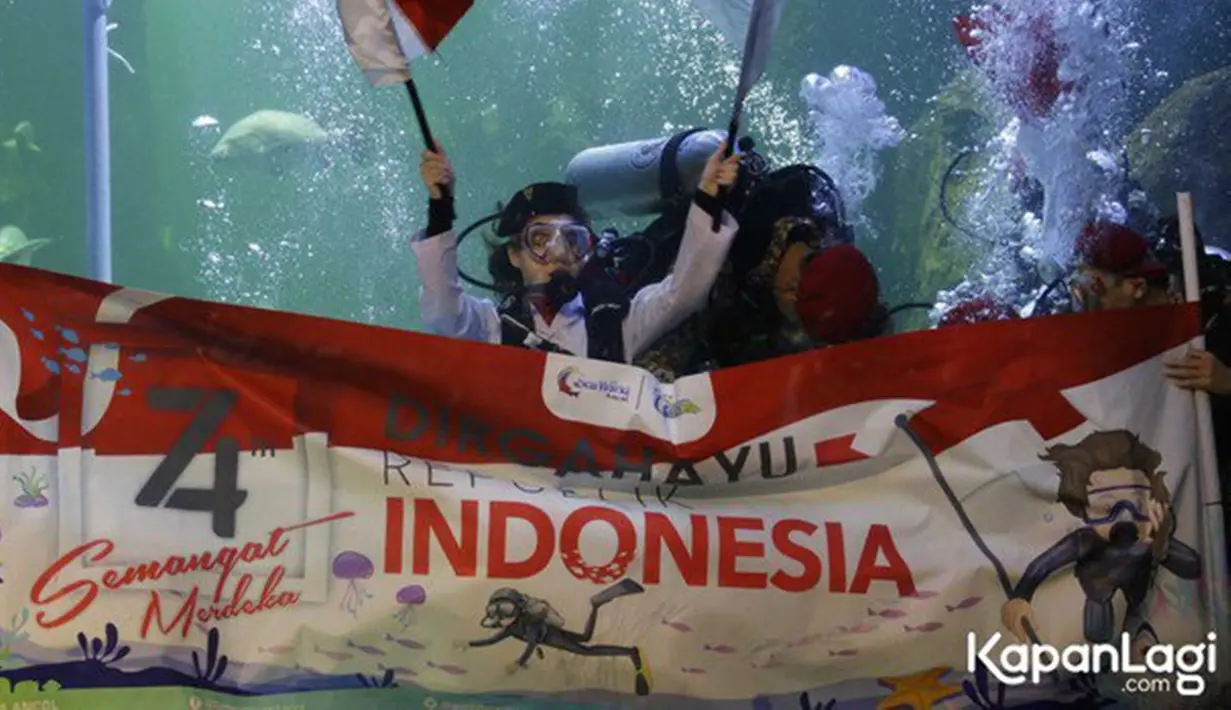 Awalnya Aaliyah Massaid tidak berani untuk melakukan pengibaran bendera di dalam air. Namun berkat pelatih, dirinya pun mantap dan melaksanakan tugasnya untuk jadi pasukan pengibar bendera Merah Putih di dalam air Sea World Indonesia. (Kapanlagi.com/Bambang E. Ros)