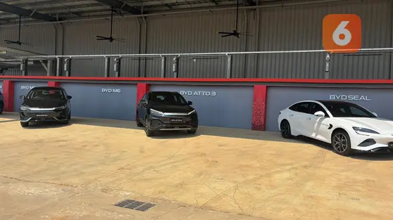 Dua Tahun di Indonesia, BYD Ungkap Capaian dan Rencana Besarnya