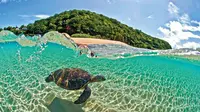 5 Pantai Paling Berbahaya di Hawaii