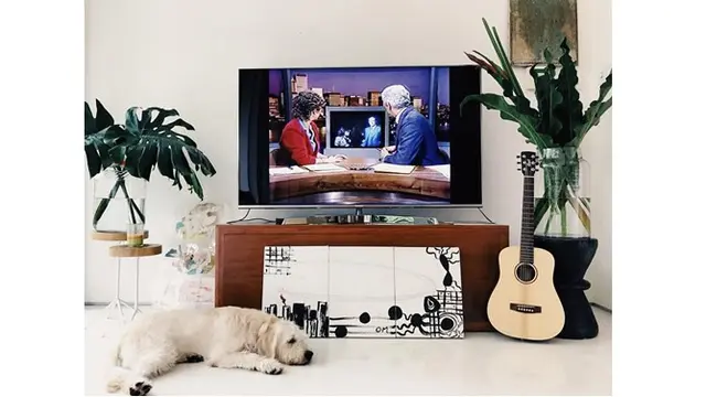 Ruang televisi di rumah Nadya, terdapat tumbuhan hijau yang menghiasi.
