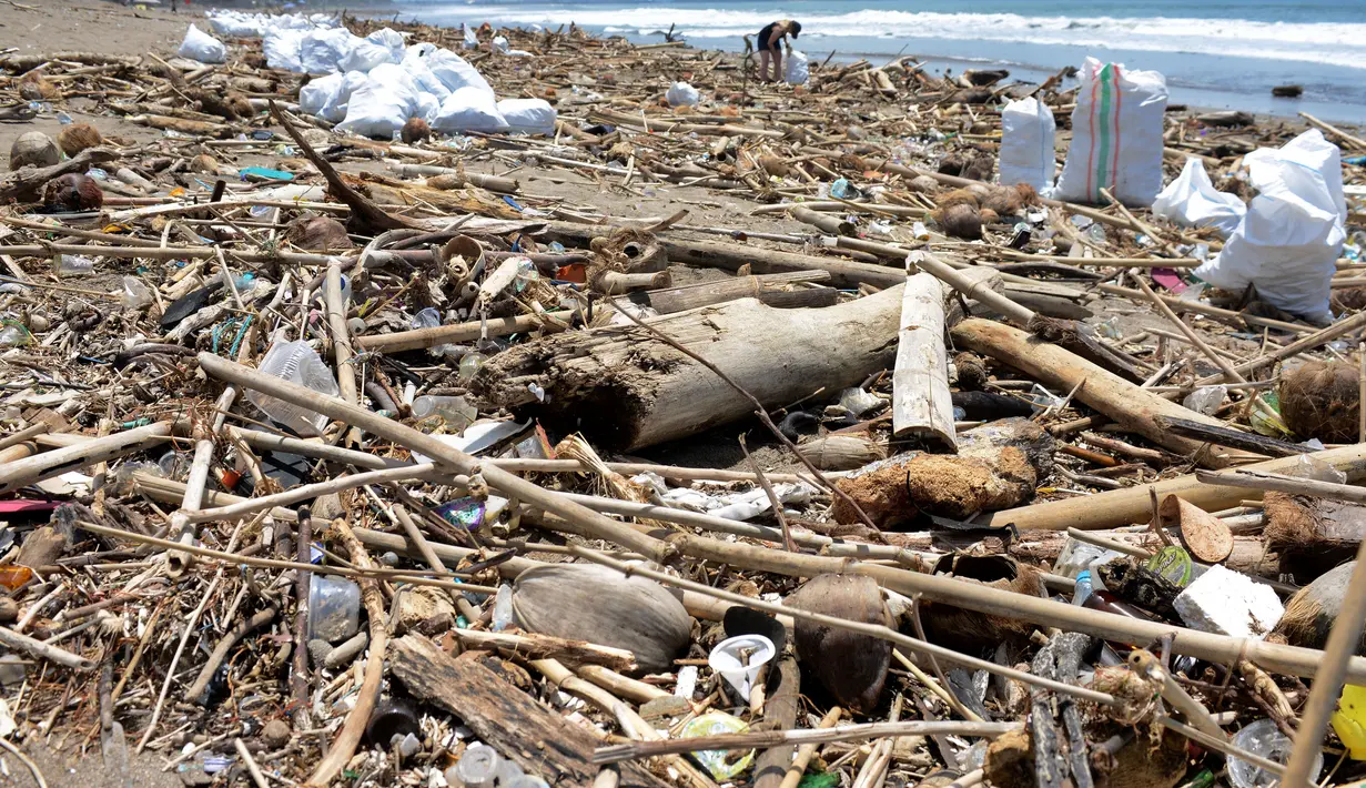 Seorang turis asing mengumpulkan sampah di antara tumpukan puing di pantai di Batu Belig di Kabupaten Badung setelah hanyut menyusul badai lepas pantai di Bali (14/12/2021). (AFP/Sony Tumbelaka)
