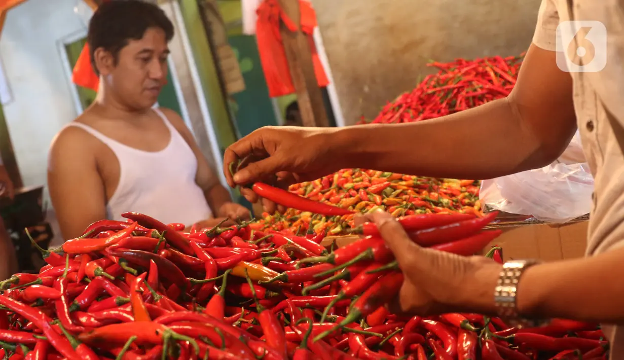 Warga memilah cabai merah yang akan dibelinya di Pasar Senen, Jakarta, Selasa (14/1/2020). Pada musim penghujan tahun ini harga berbagai macam cabai di pasar tersebut  meroket dari hanya Rp20 ribu per kilogram naik hampir mencapai Rp80 ribu. (Liputan6.com/Angga Yuniar)