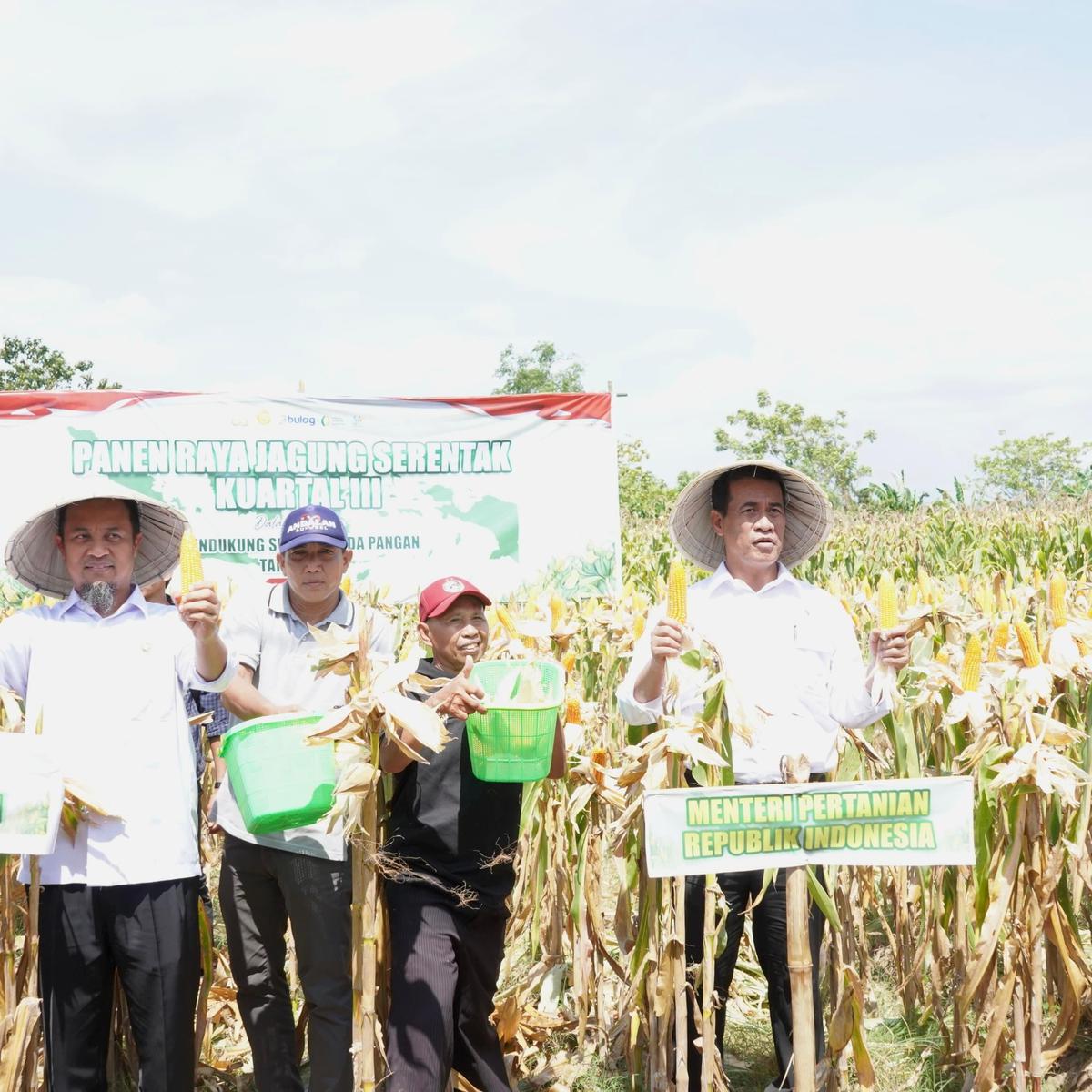 Mentan Amran dalam panen jagung serentak di Kabupaten Gowa, Sulawesi Selatan