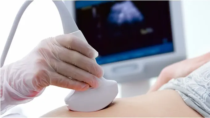 Foto: copyright shutterstock.com