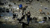 Demi Selamatkan Anjing Liar, Pria China Rela Habiskan Hartanya