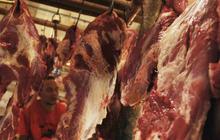 Hari ini, Bareskrim gelar perkara kasus penimbunan daging sapi