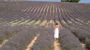 Nikmatilah pemandangan alam yang menghipnotis ini, sambil menghirup udara beraroma lavender yang sangat wangi. (Nicolas TUCAT / AFP)