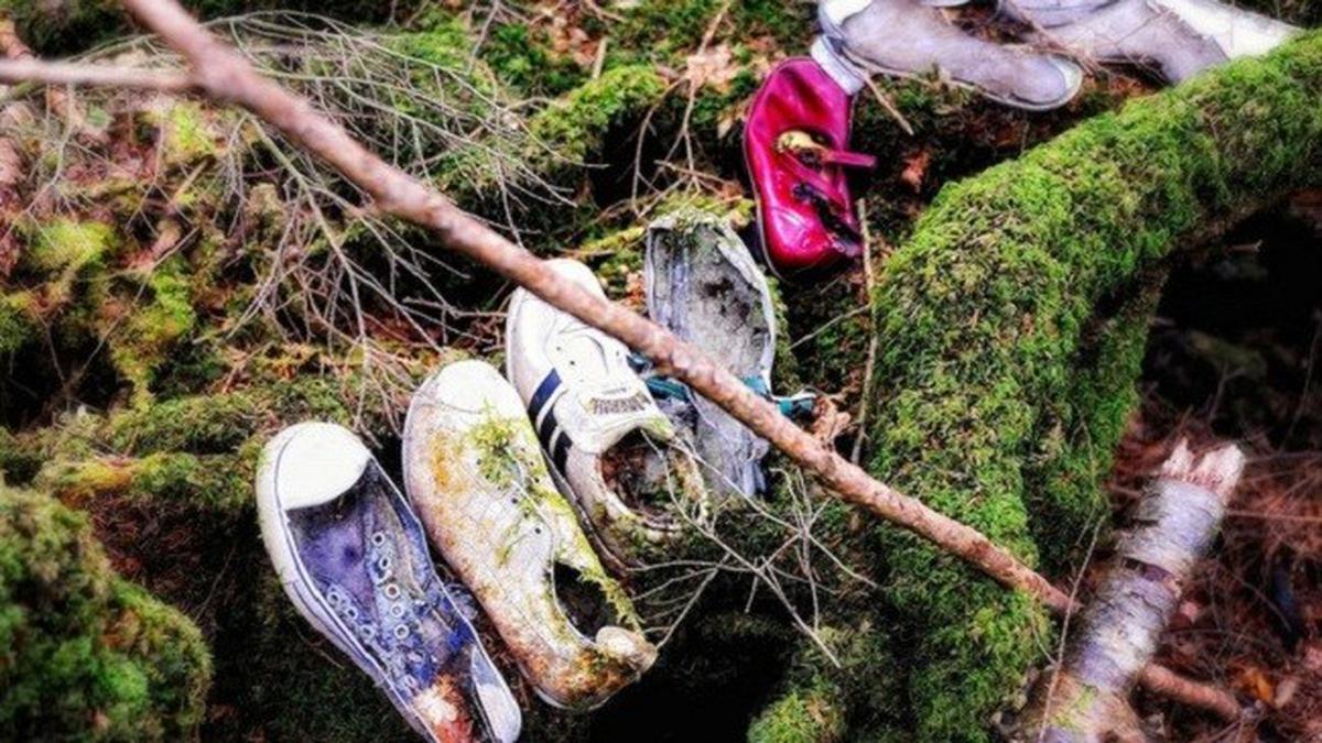 Geger Video Jasad Orang Bunuh Diri di Hutan Angker Aokigahara