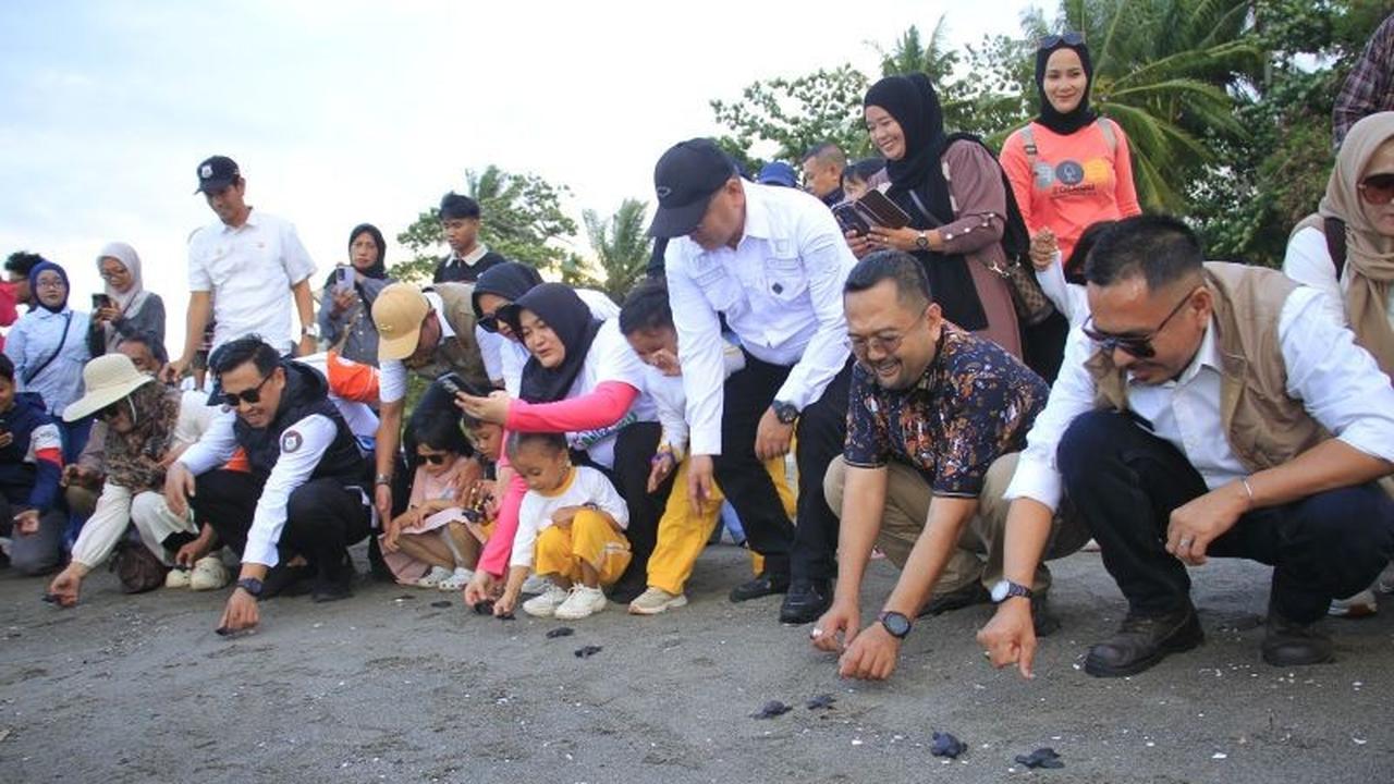 Festival Penyu Mampie: Sulbar Dorong Pariwisata Berkelanjutan dan Konservasi Lingkungan
