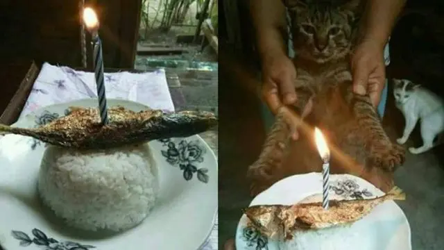 6 Pengganti Kue Ulang Tahun dari Sahabat Ini Bikin Ngakak