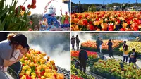 Menikmati Keindahan Festival Tulip di Everland Seoul