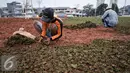 Pekerja melakukan penanaman rumput di area Ruang Terbuka Hijau (RTH) di Kalijodo, Jakarta Barat, Sabtu (10/12). Pihak pengembang mengatakan, saat ini seluruh pengerjaan konstruksi sudah nyaris rampung. (Liputan6.com/Yoppy Renato)