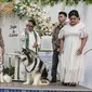 Pernikahan anjing viral Jojo dan Luna turut menggunakan tema internasional. (Foto: dokumentasi @6j.family)
