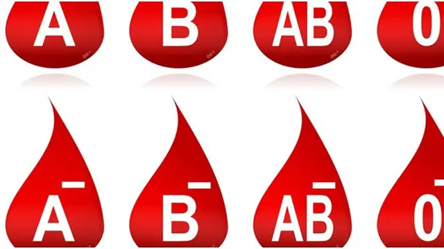 Foto: copyright Shutterstock.com