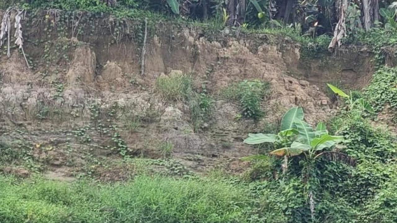 Berburu Biawak, Dua Pekerja Ini Malah Hilang