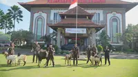 Idul Adha di Bali, Kejari Badung Gelar Sholat dan Bagikan Daging Kurban