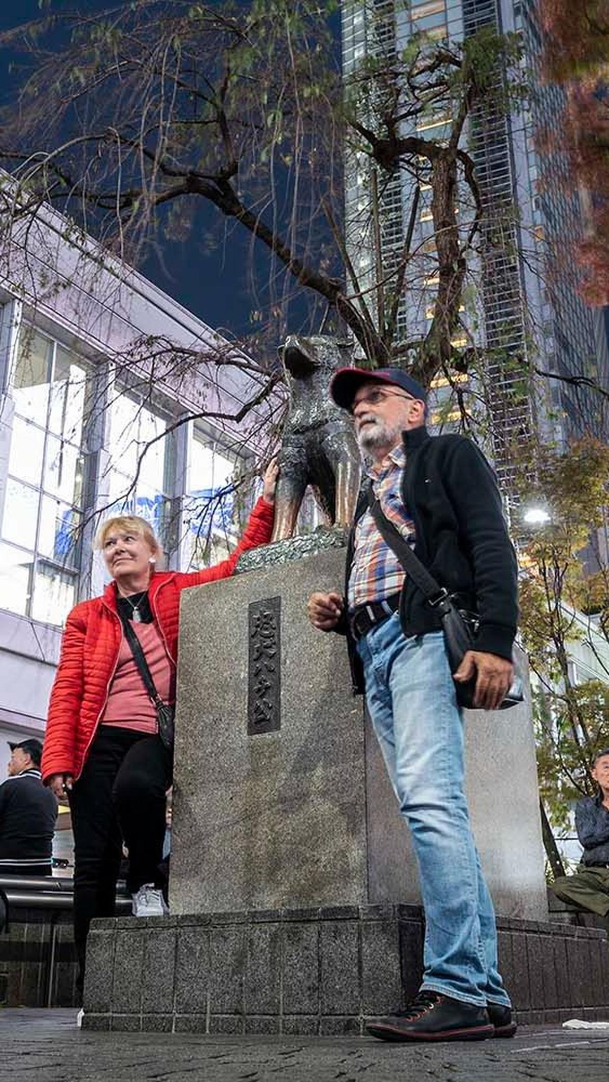 Pada April 1934, setahun sebelum kematiannya, Hachiko diundang ke peresmian patungnya sendiri di Stasiun Shibuya. Sampai saat ini patung Hachiko sangat populer di kalangan pelancong Jepang.