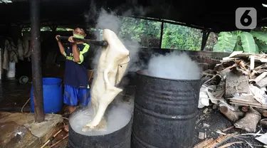 Pekerja merebus bahan baku kerupuk kulit di Pabrik Krupuk Kulit Bambang, Depok, Rabu (17/2/2021). Pemilik usaha menurunkan jumlah produksi kerupuk kulit mentah siap goreng dari 1 ton menjadi 500 kg per hari akibat pandemi COVID-19 dengan harga jual Rp90 ribu per kilogram. (merdeka.com/Arie Basuki)