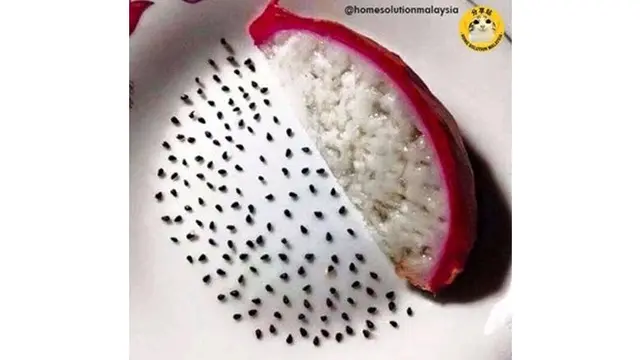 6 Aksi Nyeleneh Orang Saat Gabut Ini Bikin Geleng Kepala