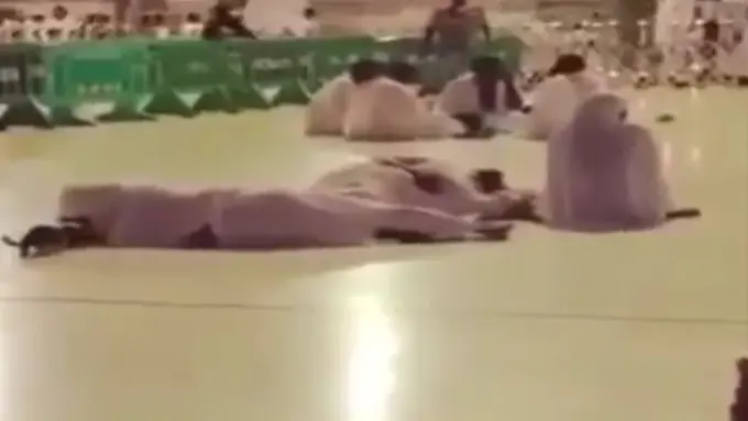 [Bintang] Kucing bangunkan orang tidur