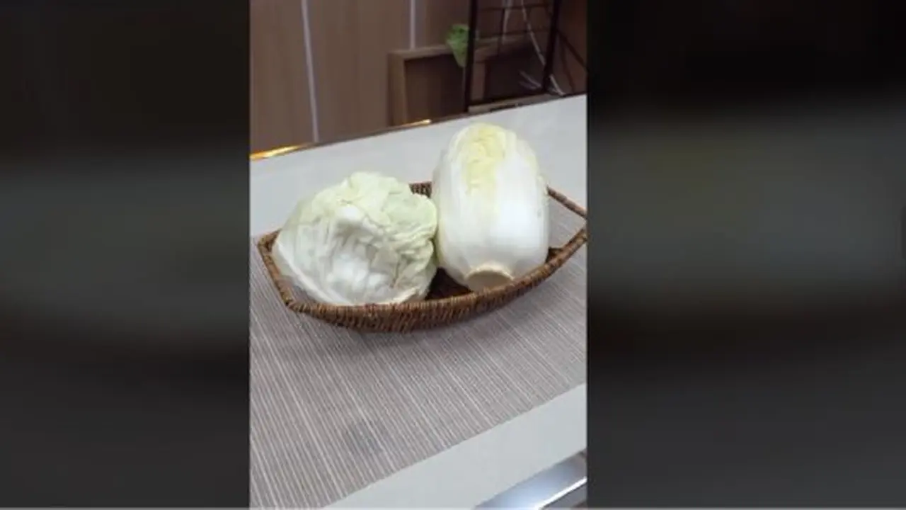 Cara Menyimpan Kubis dan Sawi Putih Tanpa Kulkas, Awet hingga 2 Minggu