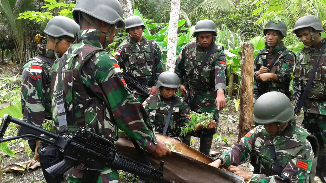 Tanaman Ganja