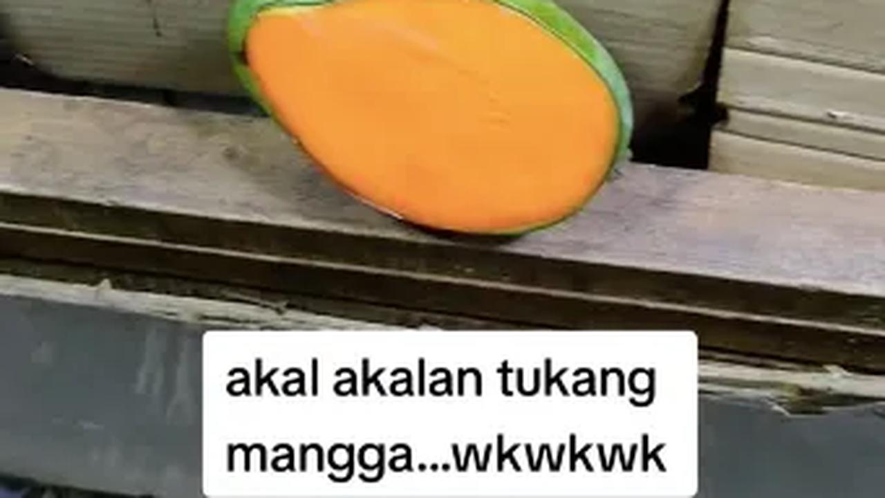 “Akal-akalan tukang mangga, wkwkwkw,” <br>