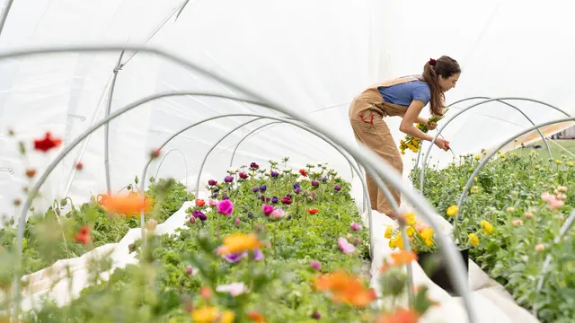 Jurusan yang Cocok untuk Tipe Kecerdasan Naturalis