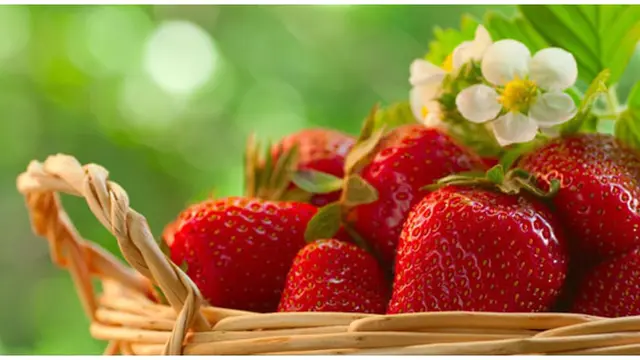 Foto: copyright shutterstock.com