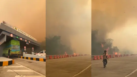 Viral Kabut Asap Kebakaran Hutan Selimuti Tol Lampung