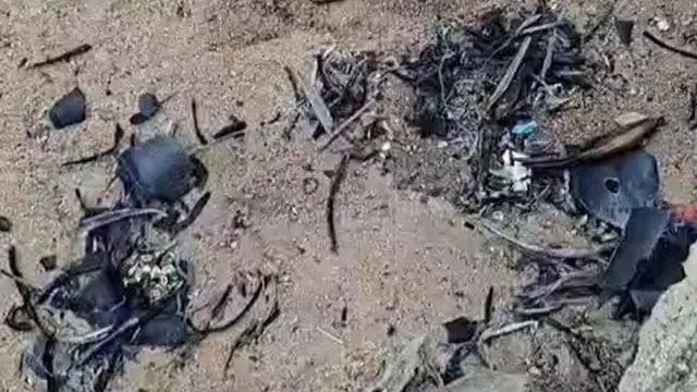 Ranting gosong dampak kebakaran TNWK menyerbu permukiman