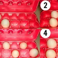 Bagaimana seseorang menyimpan telur bisa ungkap kepribadian, lho. (Sumber foto: vemale.com)