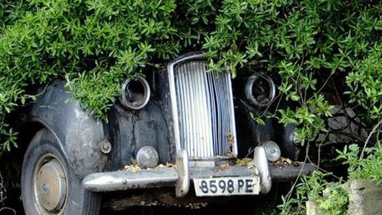 Sayang Banget! Deretan Mobil Mewah Ini Ditinggal Sampai Jadi Rongsokan